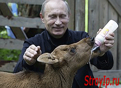 Путин, политика, экономика, экономическая ситуация на этот момент, экономический рост