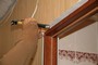 Опытные мастера по монтажу деревянных дверей