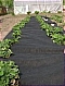 Спанбонд черный 60 г/м ширина 3,2 м - Агротекс 60 г/м. черный ширина 3.2 м. от сорняков и гниения