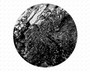Уголь каменный рядовой ДР фр. 0-200 мм