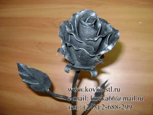 ������� �������, �����