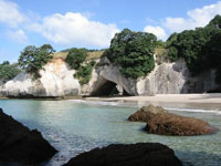 ����� ��������: � �������������� ����� ����� ������������ ����