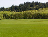 �������� �������� ���� ������ ��������� ��������