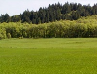 �� ������� ����� ��������� ������� ��������� �������