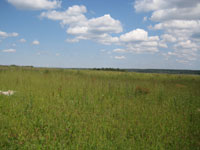 ���� � �� ����� �������� ���������� ������� �����?