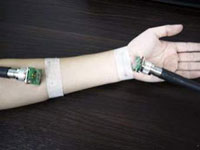 ������������ ���� ���������� � ��������-�����