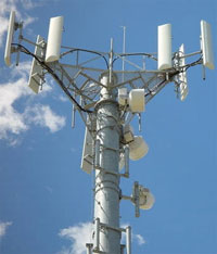 ������� ��������� �������� �������� ���� �� ���� ������ ������