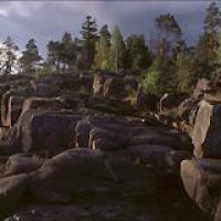 ������ ����� �������� ���� ������