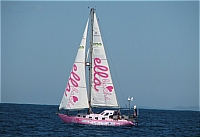 ���� ����������������� ������������ ��������� �� ������� ���������