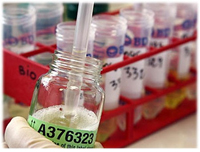 ������� ������� ����� � ������-�������� � ���������� ������