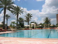 ������ ����� ��� ������ � 2010 ����