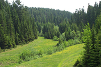 ����� � ������ ���������� ������ ������ ���������� �����