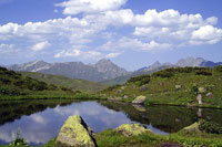 ������� � ���� ����������� ��� �������� �������� ��������