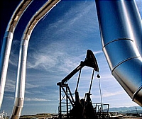 ���� �� ����� ��������� ������� � $75/����.