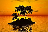 ����� ����� ������ ����� 20 ���