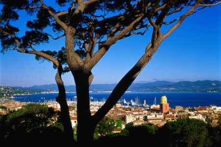 ��� - �����, �������