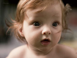 ��������� ��������� �������� ����� �������� �����, ����, �����