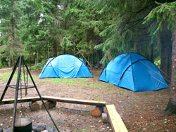 ��� ���������� ���������� ��������� ���� �� ������, �����