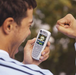 ��������� ����������� ����� ������������� � ������������ - "���������", �����, �������