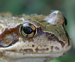 �������� ��������� ������ ��������� ������ �������, ������� �������