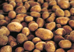 ��������� ��������� ������ ������ ��� �� ���������, ������ � �������, ��������� ���������