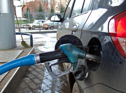 ����� ������ ���� �� ������ � ������ �����������, ��������� ������� � ������, ������, �������, ��������