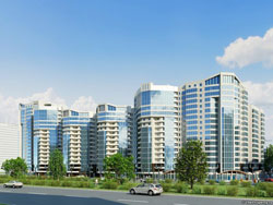 ��� ����� �������� � �����������?, ������ ��������, �����������