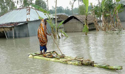 ���������: ����� ���� - ����������