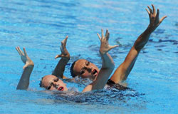 ���������� ������������ �������� � ������ �������� ������ ��, ���������� ��������