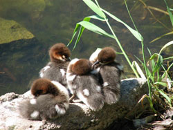 �������� ���������� ������ ��� �������� ���� � ��������� ����