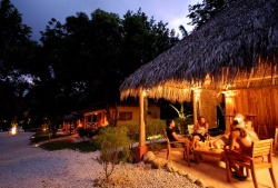 ����� ����: ����� �����