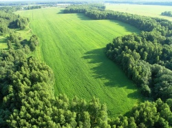 ��������������� �����