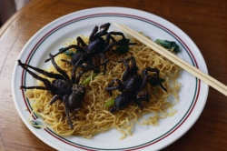 ����� ������������� ����������