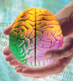 �������� "�������" ����