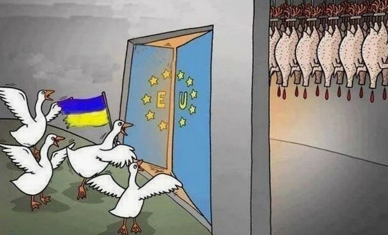 украинцы в ес