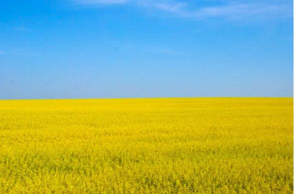 законопроект о свободной продаже земли