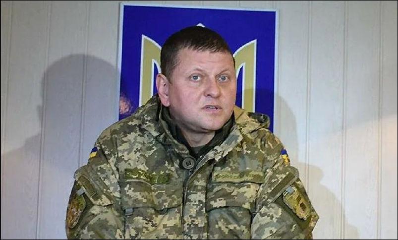 интервью главкома ВСУ Валерия Залужного