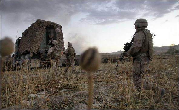 военные НАТО