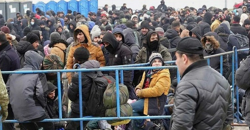 мигранты