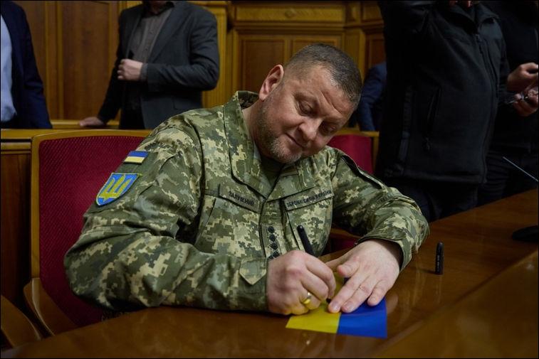 залужный валерий